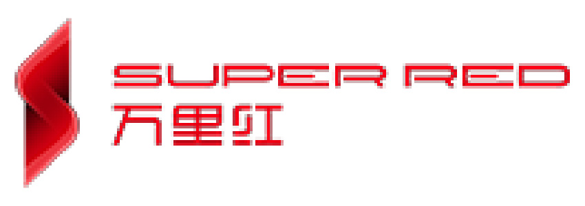 Logo 13